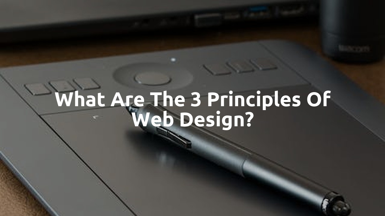 What are the 3 principles of web design?