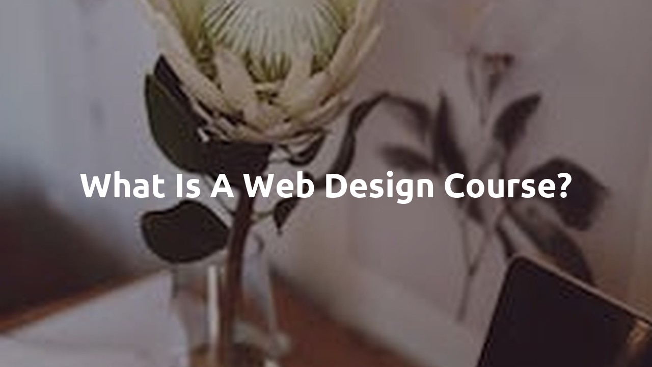 What is a web design course?