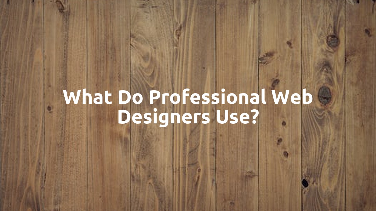 What do professional web designers use?